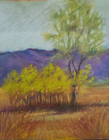 Taos Trees by artist julia fletcher